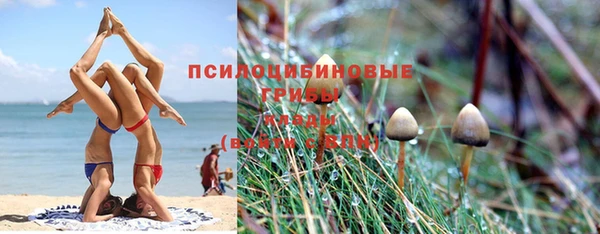 марихуана Белокуриха