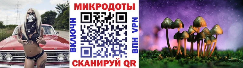 сколько стоит  Горно-Алтайск  Галлюциногенные грибы Psilocybe 