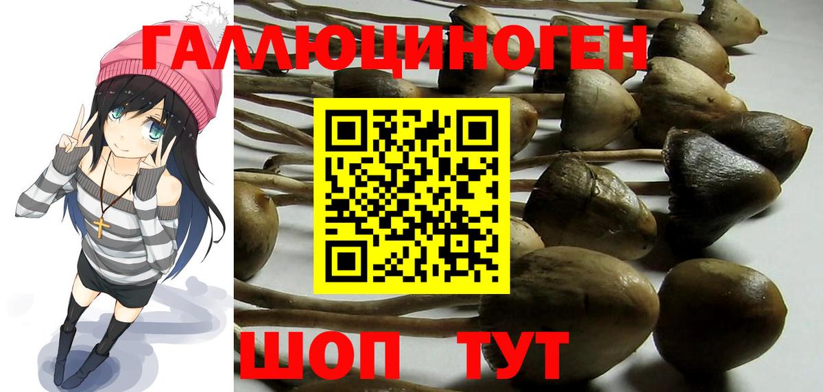 Горно-Алтайск  Галлюциногенные грибы GOLDEN TEACHER  Вход с VPN 